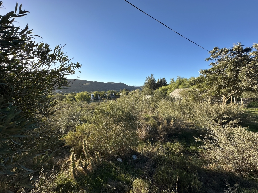 0 Bedroom Property for Sale in Barrydale Western Cape